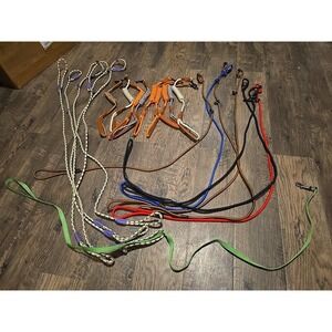 Dog Leash Lot